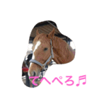 c2sgk（個別スタンプ：23）
