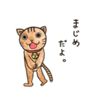 楽しく誘いを断れる変な動物たちのスタンプ（個別スタンプ：21）