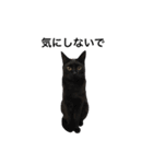 クリーム茶トラのネムと黒猫ピース2（個別スタンプ：18）