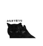 クリーム茶トラのネムと黒猫ピース2（個別スタンプ：36）