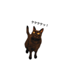 クリーム茶トラのネムと黒猫ピース2（個別スタンプ：38）