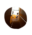 しゅな（個別スタンプ：3）