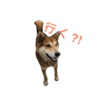 イケメンりきりき（個別スタンプ：7）