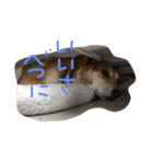 イケメンりきりき（個別スタンプ：8）