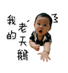 Wei-Bao（個別スタンプ：20）