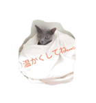 友達に寄り添うネコNo.2（個別スタンプ：10）