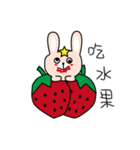 star rabbit and doctor rabbit day（個別スタンプ：4）