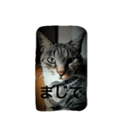 アポロの一言（個別スタンプ：19）