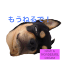大御所様（個別スタンプ：3）