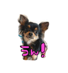 めめライフ（個別スタンプ：2）