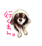 めめライフ（個別スタンプ：5）