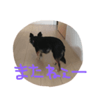 めめライフ（個別スタンプ：7）