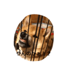 柴犬の成長記録 ①（個別スタンプ：5）