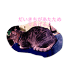 だいきちのすたんぷ（個別スタンプ：2）