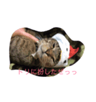 だいきちのすたんぷ（個別スタンプ：4）