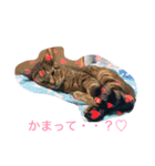 だいきちのすたんぷ（個別スタンプ：7）