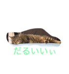 だいきちのすたんぷ（個別スタンプ：8）