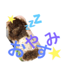なかよし家族♡（個別スタンプ：2）
