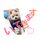 なかよし家族♡（個別スタンプ：3）
