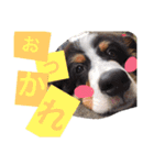 なかよし家族♡（個別スタンプ：4）