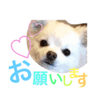 なかよし家族♡（個別スタンプ：6）