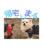 なかよし家族♡（個別スタンプ：7）