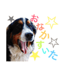 なかよし家族♡（個別スタンプ：9）