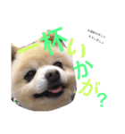 なかよし家族♡（個別スタンプ：11）
