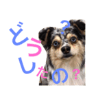 なかよし家族♡（個別スタンプ：13）