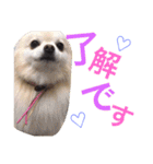 なかよし家族♡（個別スタンプ：15）