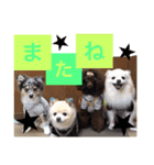 なかよし家族♡（個別スタンプ：16）