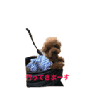 トイプードルジルの 使えるお返事パート7（個別スタンプ：9）