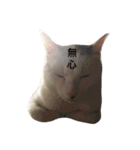 あんちょび♂（個別スタンプ：9）