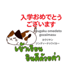 お祝い猫日本語タイ語（個別スタンプ：11）