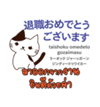 お祝い猫日本語タイ語（個別スタンプ：17）