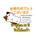 お祝い猫日本語タイ語（個別スタンプ：23）