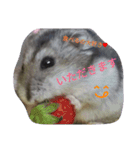 まんまる  なるちゃん（個別スタンプ：4）
