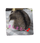 まんまる  なるちゃん（個別スタンプ：5）
