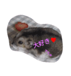 まんまる  なるちゃん（個別スタンプ：14）