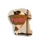 凪おじスタンプ（個別スタンプ：1）