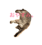凪おじスタンプ（個別スタンプ：9）