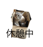 凪おじスタンプ（個別スタンプ：16）