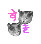 ペットのルーナちゃん（個別スタンプ：5）