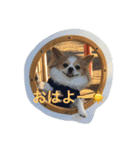 Rich ①（個別スタンプ：1）