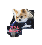 Rich ①（個別スタンプ：5）