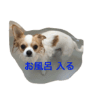 Rich ①（個別スタンプ：7）