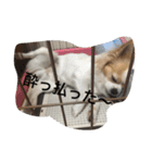 Rich ①（個別スタンプ：13）