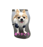 Rich ①（個別スタンプ：15）