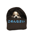 Rich ①（個別スタンプ：16）