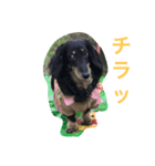 空さん（個別スタンプ：1）